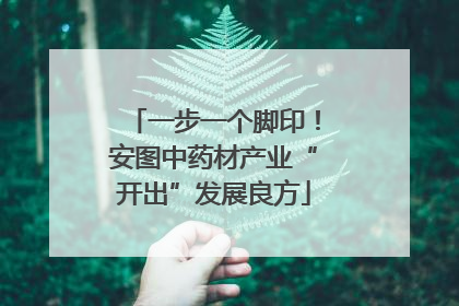 一步一个脚印！安图中药材产业“开出”发展良方