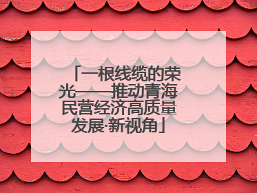 一根线缆的荣光——推动青海民营经济高质量发展·新视角