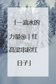 一滴水的力量⑨｜红高粱串起红日子