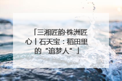 三湘匠韵·株洲匠心丨石天宝：稻田里的“追梦人”