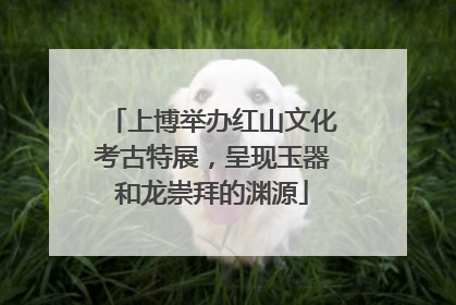 上博举办红山文化考古特展，呈现玉器和龙崇拜的渊源
