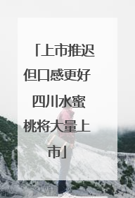上市推迟但口感更好 四川水蜜桃将大量上市