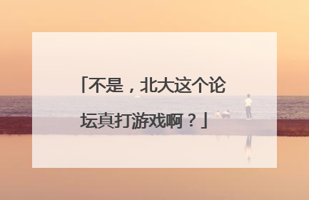 不是，北大这个论坛真打游戏啊？