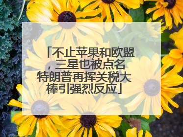 不止苹果和欧盟，三星也被点名 特朗普再挥关税大棒引强烈反应
