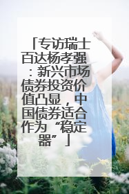 专访瑞士百达杨孝强：新兴市场债券投资价值凸显，中国债券适合作为“稳定器”