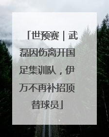 世预赛｜武磊因伤离开国足集训队，伊万不再补招顶替球员
