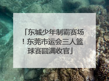 东城少年制霸赛场！东莞市运会三人篮球赛圆满收官