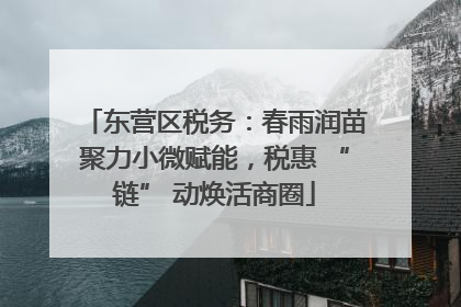 东营区税务：春雨润苗聚力小微赋能，税惠 “链” 动焕活商圈