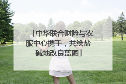 中华联合财险与农服中心携手，共绘盐碱地改良蓝图