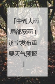 中到大雨局部暴雨！济宁发布重要天气预报