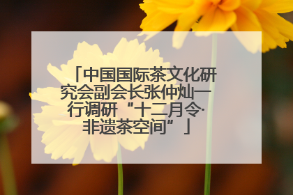 中国国际茶文化研究会副会长张仲灿一行调研“十二月令·非遗茶空间”