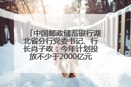 中国邮政储蓄银行湖北省分行党委书记、行长肖子政：今年计划投放不少于2000亿元支持支点建设