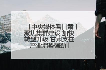 中央媒体看甘肃丨聚焦集群建设 加快转型升级 甘肃支柱产业增势强劲