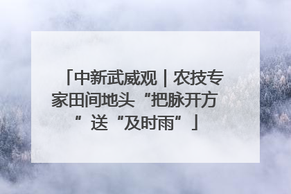 中新武威观｜农技专家田间地头“把脉开方”送“及时雨”