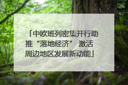 中欧班列密集开行助推“落地经济” 激活周边地区发展新动能