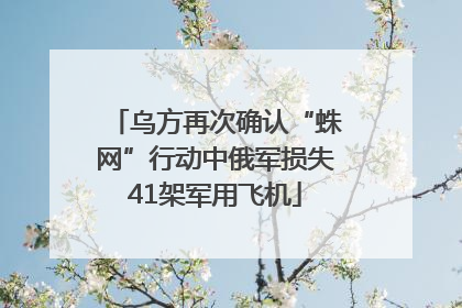 乌方再次确认“蛛网”行动中俄军损失41架军用飞机