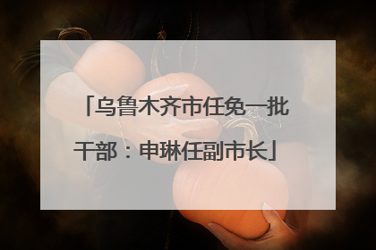 乌鲁木齐市任免一批干部：申琳任副市长