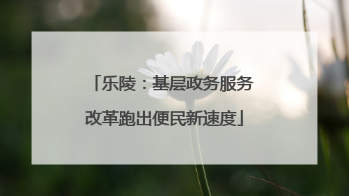 乐陵：基层政务服务改革跑出便民新速度