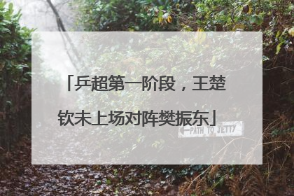 乒超第一阶段，王楚钦未上场对阵樊振东