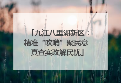 九江八里湖新区：精准“吹哨”聚民意 真查实改解民忧