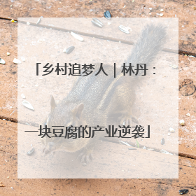乡村追梦人｜林丹：一块豆腐的产业逆袭