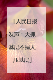 人民日报发声：大抓基层不是大压基层