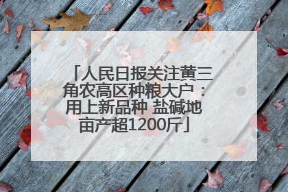 人民日报关注黄三角农高区种粮大户：用上新品种 盐碱地亩产超1200斤