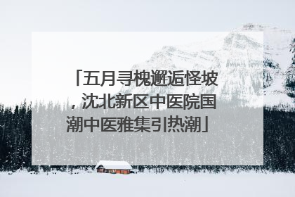 五月寻槐邂逅怪坡，沈北新区中医院国潮中医雅集引热潮