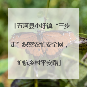 五河县小圩镇“三步走”织密农忙安全网，护航乡村平安路