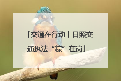 交通在行动丨日照交通执法“粽”在岗