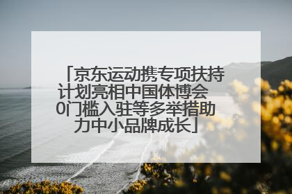 京东运动携专项扶持计划亮相中国体博会 0门槛入驻等多举措助力中小品牌成长
