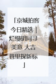 京城拍客今日精选｜烂缦胡同寻美意 大吉巷里探新标