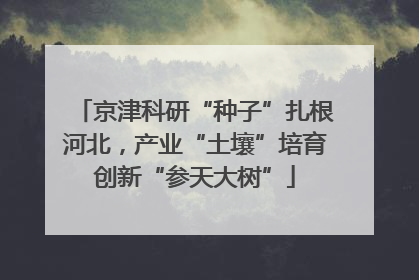 京津科研“种子”扎根河北，产业“土壤”培育创新“参天大树”