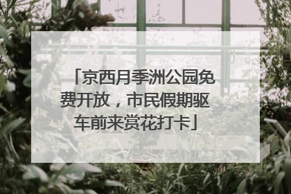 京西月季洲公园免费开放，市民假期驱车前来赏花打卡