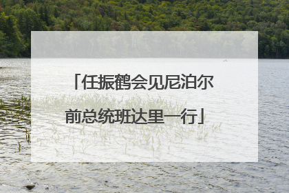 任振鹤会见尼泊尔前总统班达里一行