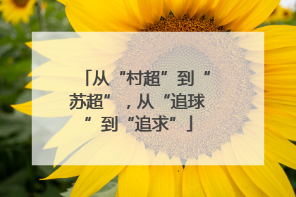 从“村超”到“苏超”，从“追球”到“追求”