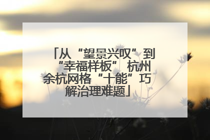 从“望景兴叹”到“幸福样板” 杭州余杭网格“十能”巧解治理难题