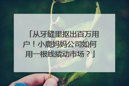 从牙缝里抠出百万用户！小鹿妈妈公司如何用一根线撬动市场？