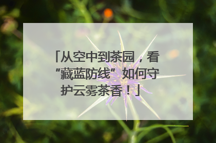 从空中到茶园，看“藏蓝防线”如何守护云雾茶香！