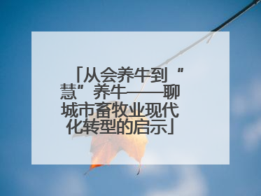 从会养牛到“慧”养牛——聊城市畜牧业现代化转型的启示
