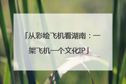 从彩绘飞机看湖南：一架飞机一个文化IP