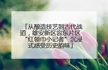 从酿造技艺到古代战道，雄安新区容东片区“红领巾小记者”沉浸式感受历史韵味