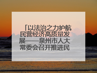 以法治之力护航民营经济高质量发展——泉州市人大常委会召开推进民营经济促进法贯彻实施座谈会