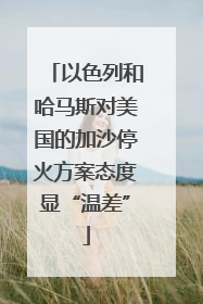 以色列和哈马斯对美国的加沙停火方案态度显“温差”