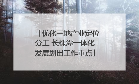 优化三地产业定位分工 长株潭一体化发展划出工作重点