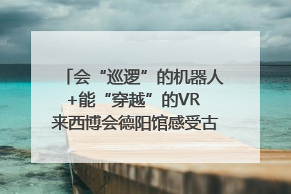 会“巡逻”的机器人+能“穿越”的VR 来西博会德阳馆感受古蜀文明与现代智造的时空对话｜西博视界