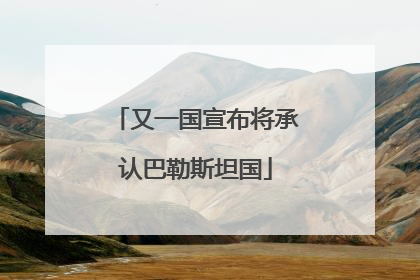 又一国宣布将承认巴勒斯坦国
