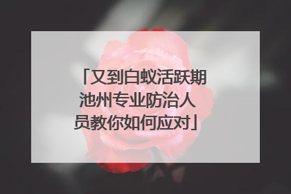 又到白蚁活跃期 池州专业防治人员教你如何应对