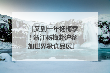 又到一年杨梅季！浙江杨梅赴沪参加世界级食品展