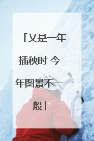 又是一年插秧时 今年图景不一般